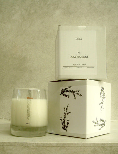 VELL CANDLE - DIAPHANOUS
